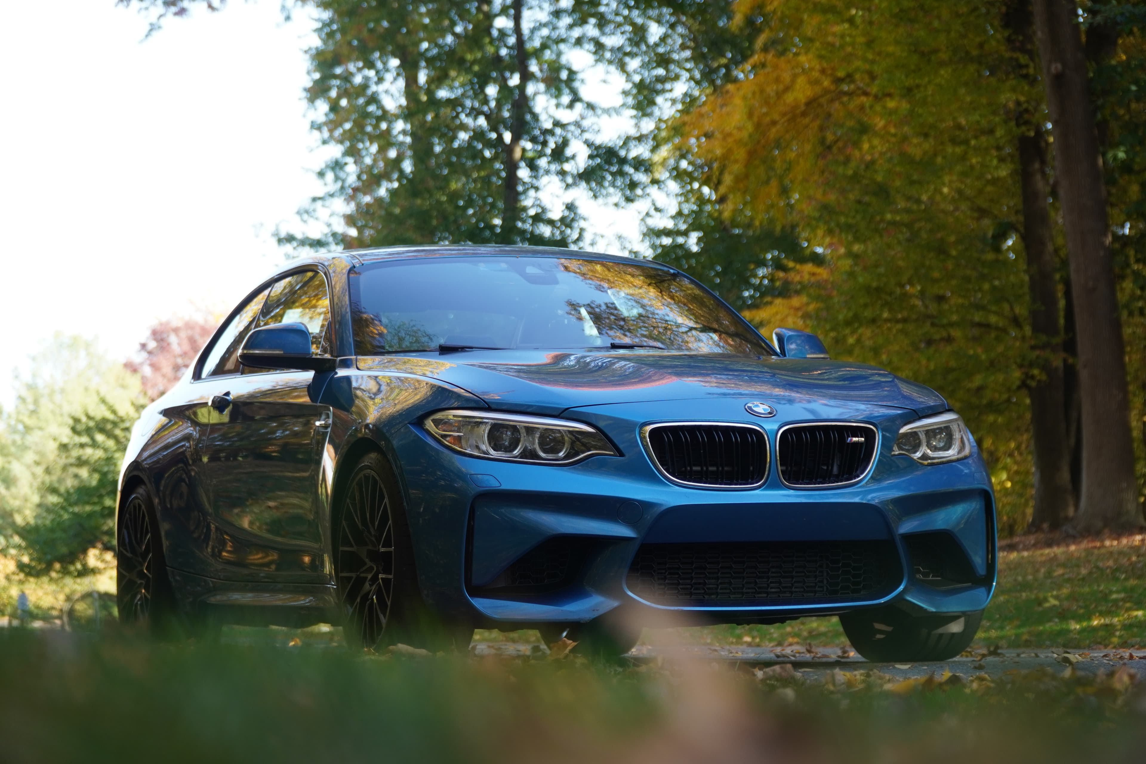 Blue BMW M2 front end on a tree-lined street, the zone paint protection film covers
